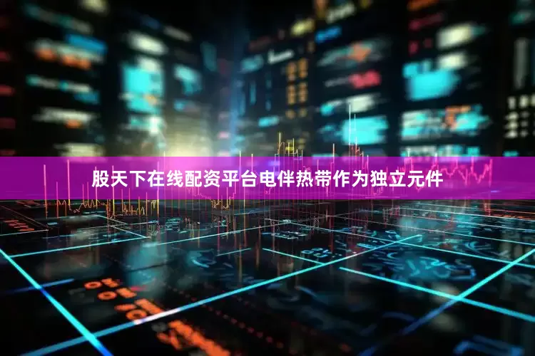 股天下在线配资平台电伴热带作为独立元件
