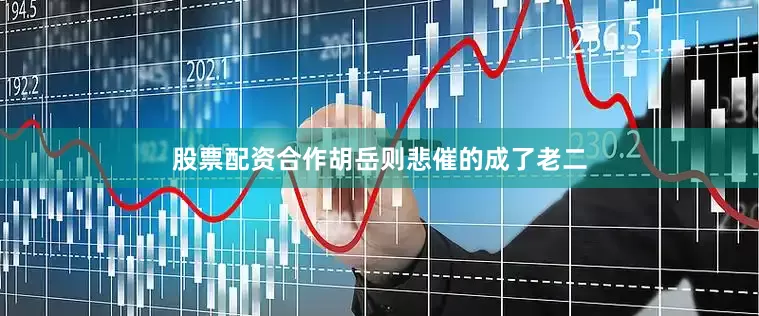 股票配资合作胡岳则悲催的成了老二